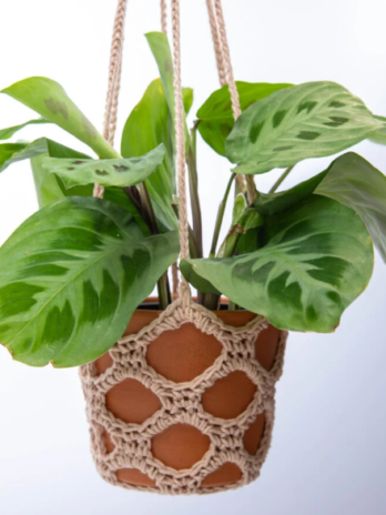 plant hangers
